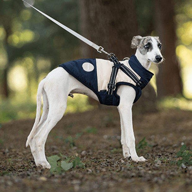 Waterproof Warm Greyhound Dog Vest