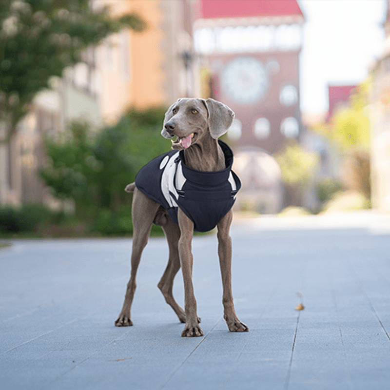 Waterproof Warm Greyhound Dog Vest
