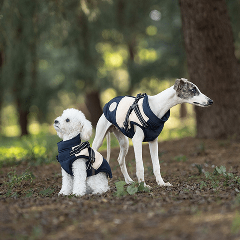 Waterproof Warm Greyhound Dog Vest