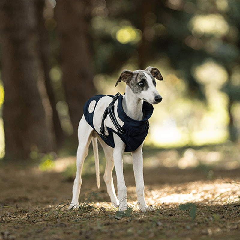 Waterproof Warm Greyhound Dog Vest