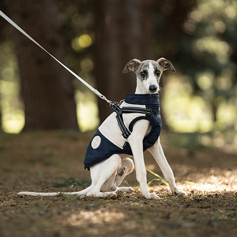 Waterproof Warm Greyhound Dog Vest