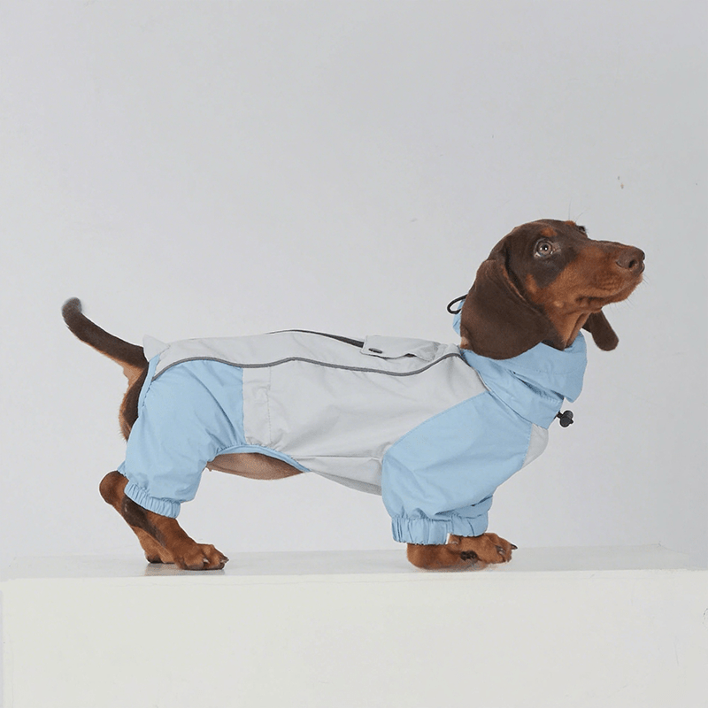 Waterproof Dachshund Whippet Dog Raincoat
