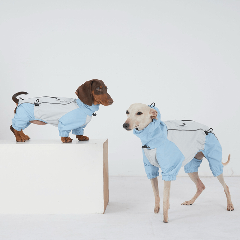 Waterproof Dachshund Whippet Dog Raincoat