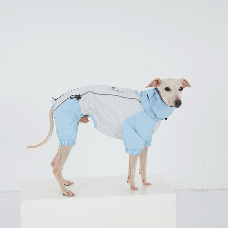 Waterproof Dachshund Whippet Dog Raincoat