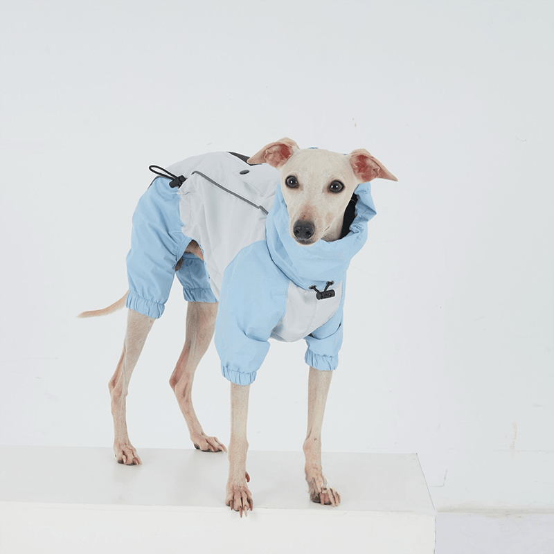 Waterproof Dachshund Whippet Dog Raincoat