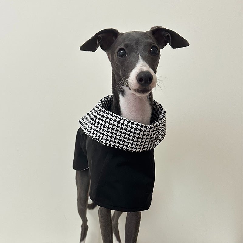 Windproof Italian Greyhound Dog Cloak