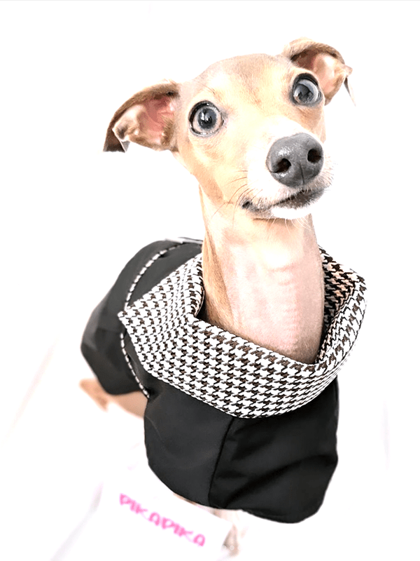 Windproof Italian Greyhound Dog Cloak