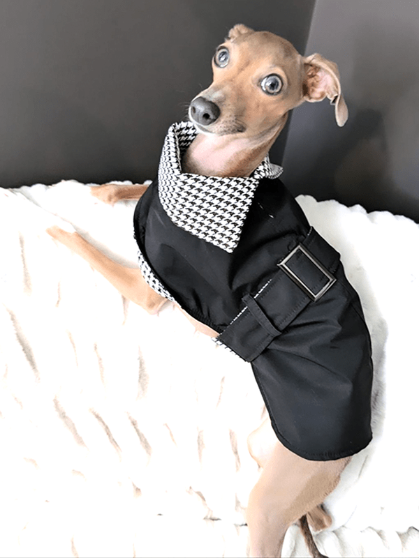 Windproof Italian Greyhound Dog Cloak