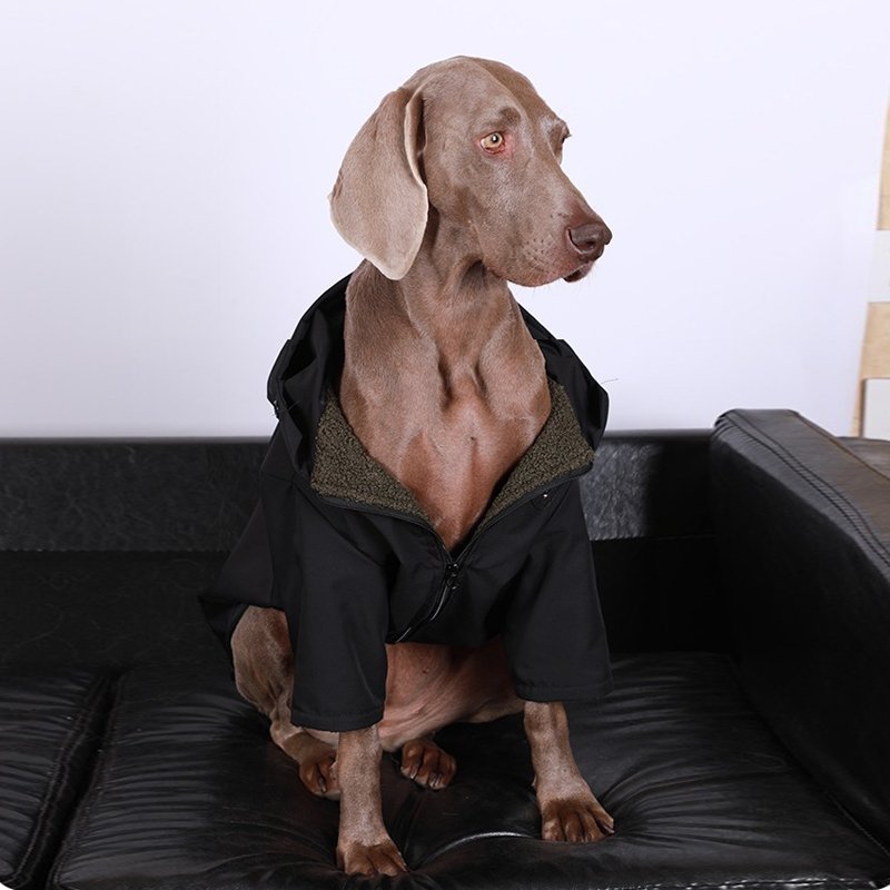 Windproof Plush Big Dog Jacket