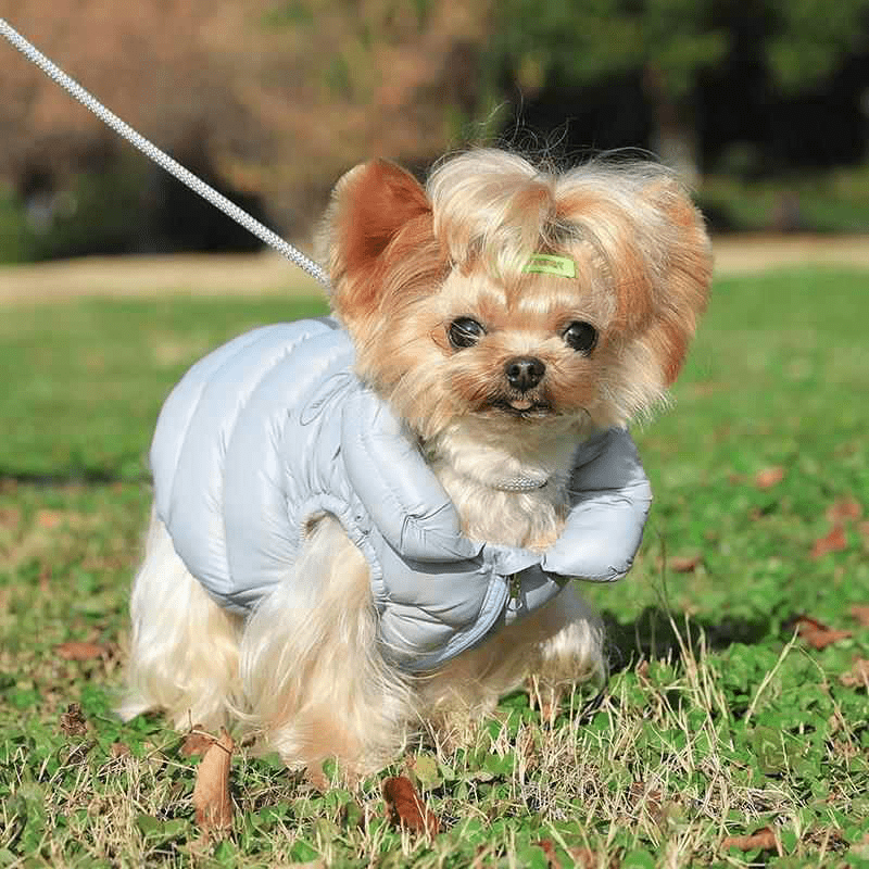 Winter Warm Small Medium Dog Jacket