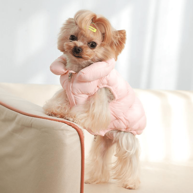 Winter Warm Small Medium Dog Jacket