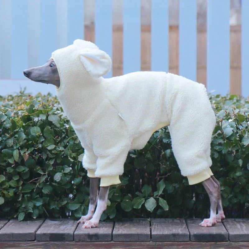 Winter Fleece Hooded Italian Greyhound Jumpsuit