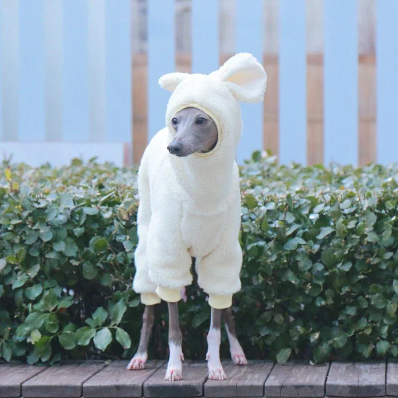 Winter Fleece Hooded Italian Greyhound Jumpsuit