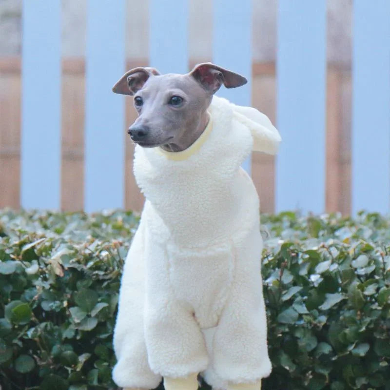 Winter Fleece Hooded Italian Greyhound Jumpsuit